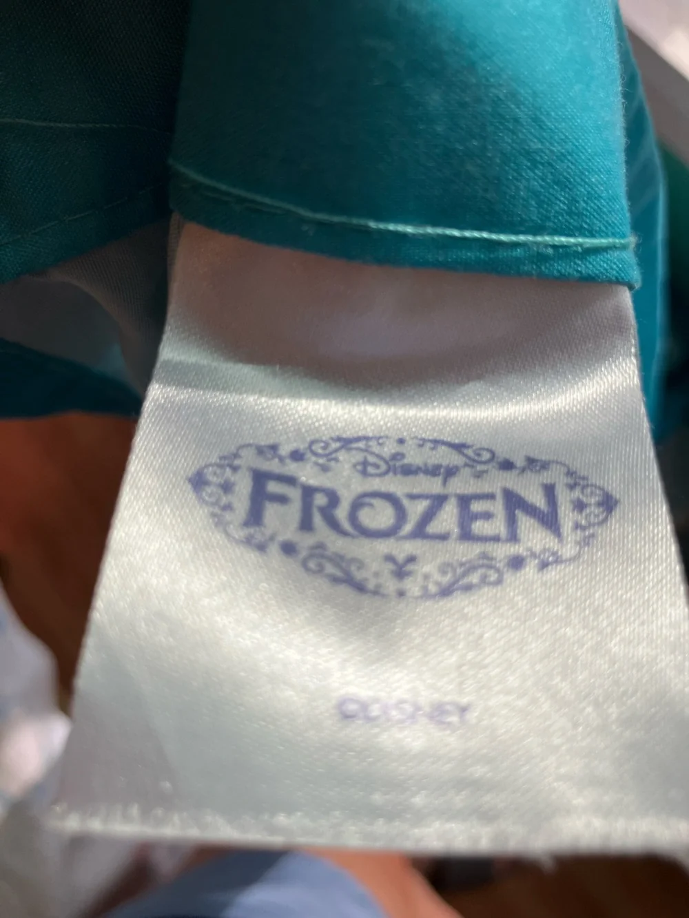 Disney Frozen Anna & Elsa Shower Curtain- Teal & Blue